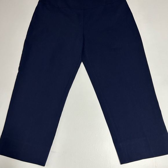 ZC & Rachel ultimate fit pull on ankle pants women’s size 12 new with tags - Picture 5 of 10